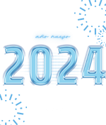 Artículos para Año Nuevo