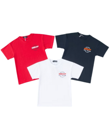 Polera Niño x 15 Unds. Talla: 8 a 16 años