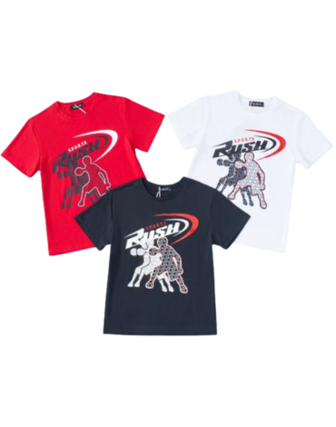 Polera Niño x 15 Unds. Talla: 8 a 16 años