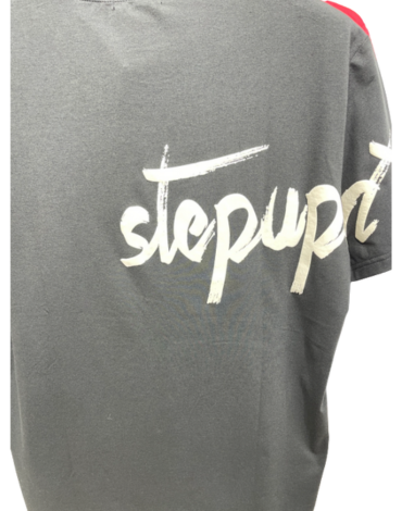 Polera Algodon de Hombre x 12 Unds. Talla: M al XXL