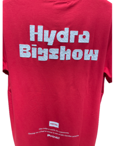 Polera Algodon de Hombre x 12 Unds. Talla: M al XXL