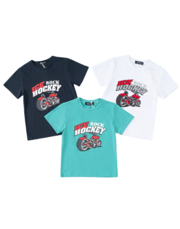 Polera Niño x 15 Unds. Talla: 2 a 6 años