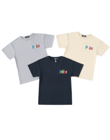 Polera Niño x 15 Unds. Talla: 8 a 16 años