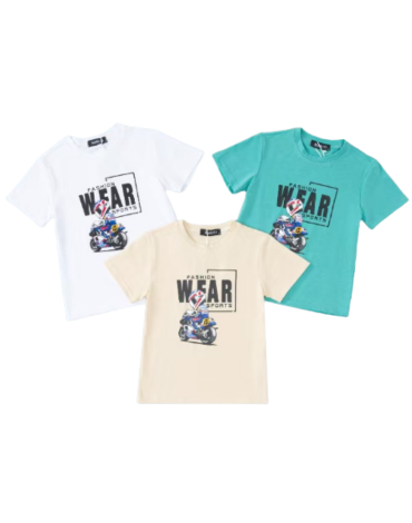 Polera Niño x 15 Unds. Talla: 2 a 6 años