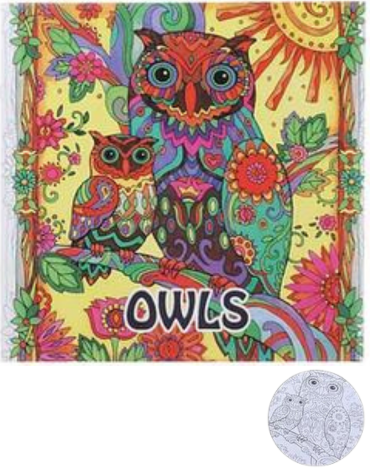 Libro Mándala para Pintar Owls 96 Pág x 10 Unds. Medidas: 25 x 25 cm aprox