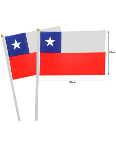 Banderines con Ventosa para Auto x 60 Unds. Medida: 30 x 20 cm aprox.