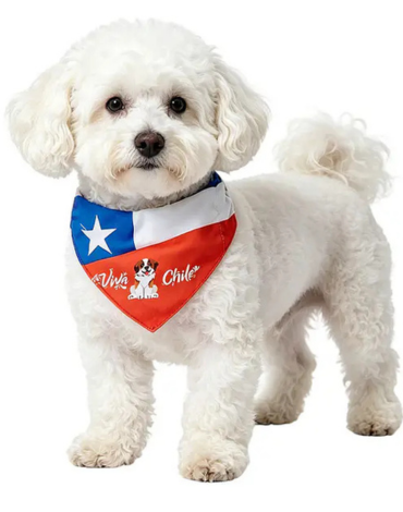 Bandana para Mascotas Fiesta Patrias x 12 Unds.Talla : S