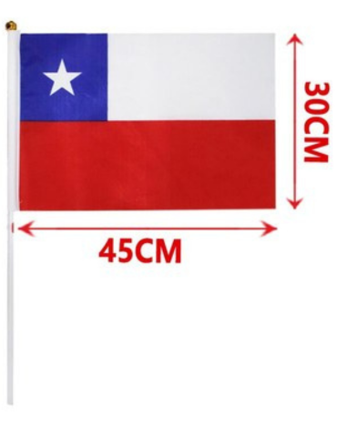 Bandera de Chile con Palito x 12 Unds. Medida: 30 x 45 cm aprox.