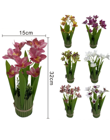 Bonsai de Orquídea Cymbidium Colores Surtidos x 3 Unds. Medida: 32 x 14 cm aprox.