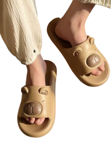 Chalas Capibara Colores Surtidos x 24 Pares. Talla: 42 al 47