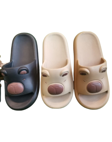 Chalas Capibara Colores Surtidos x 24 Pares. Talla: 42 al 47