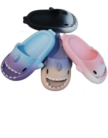 Chalas de Mujer Colores Surtidos x 24 Pares. Talla: 36  al 41