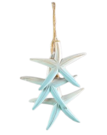 Adorno Estrella de Mar Colgante  de Pared x 6 Unds. Medida:  31 x 15 cm aprox.