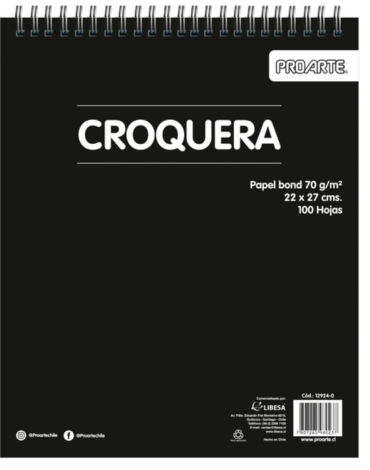 Croquera PROARTE 100 Hojas x 12 Unds. Medidas:22 x 27 cm aprox