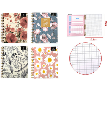 Cuaderno Universitario 100 Hojas x 10 Unds.