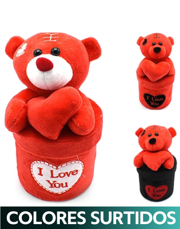 Oso de peluche con Caja de Regalo x 4 Unds. Medidas: 20 cm aprox.