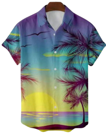 Guayabera  de Hombre Poliéster Modelo Único x 12 Unds.Tallas: M - L - XL - XXL - XXXL