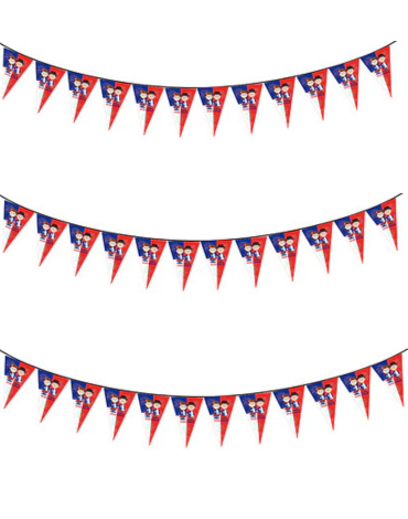 Guirnalda de Papel con Diseño Fiestas Patrias x 12  Unds. Medidas: 3 Metros aprox.