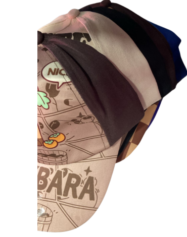 Jockey para Niños  Capibara Colores Surtidos x 12 Unds.