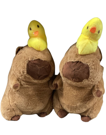 Peluche Capibara con Patito x 6 Unds.Medida:35 cm aprox.