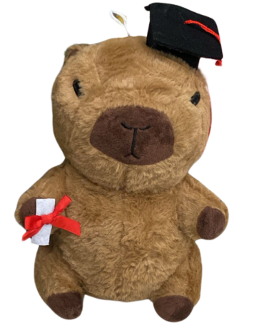 Peluche Capybara  Graduación x 4 Unds. Medida: 22 cm aprox.