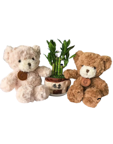Peluche Oso (Elegir Color ) x 4 Unds. Medidas: 20 cm aprox.