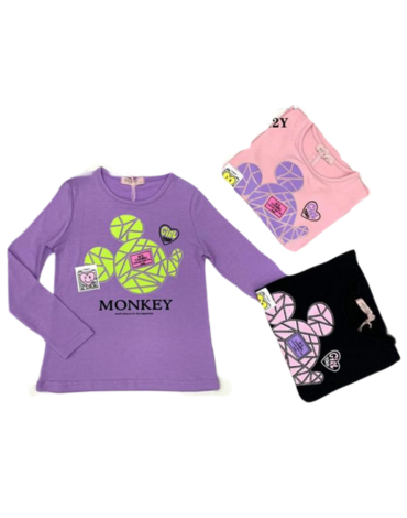 Polera Niña Manga Larga x 15 Unds. Tallas:  2- 4 - 6 - 8 - 10 - 12