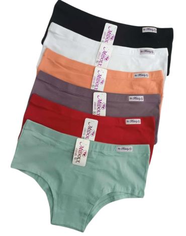 Calzón para Damas Colores Surtidos x 12 Unds. Tallas: M - L - XL
