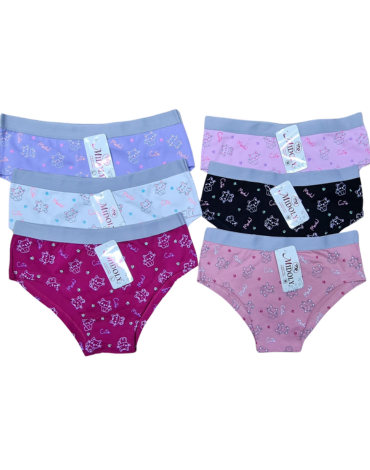 Calzón para Damas Colores Surtidos x 12 Unds. Tallas: M - L