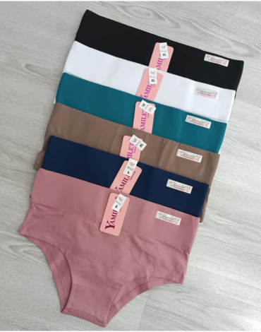 Calzón tipo Faja Colores Surtidos x 12 Unds. Tallas: L - XL