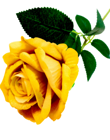 Rosa Artificial Color Amarillo x 6 Unds. Medida: 50 cm aprox.