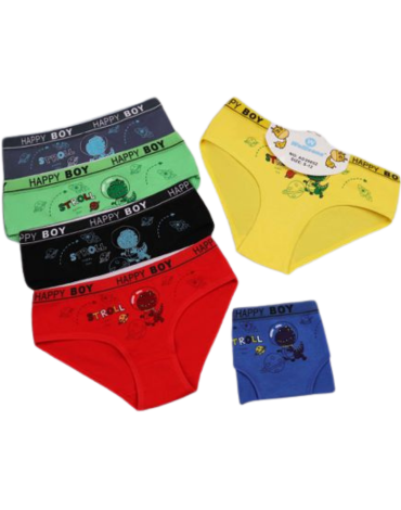 Slip para Niños Colores Surtidos x 12 Unds. Talla: 2 / 4 - 4 / 6 - 6 / 8 - 8 / 12