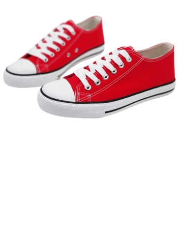 Zapatillas de Mujer Color Único x 12 Pares. Tallas: 36 a la 41