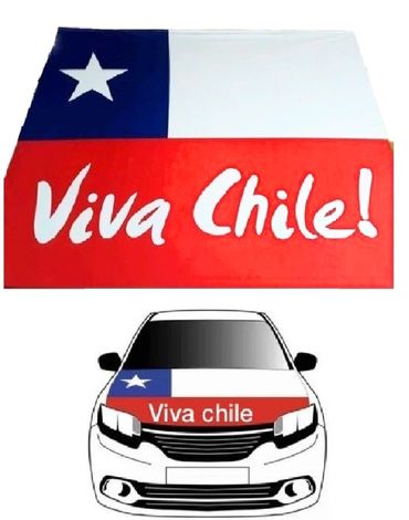 Bandera Capota de Carro Fiestas Patrias Chile x 3 Unds.