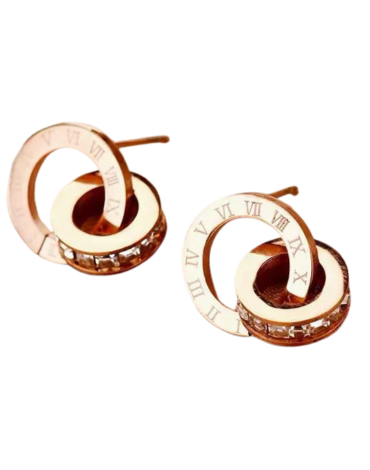 Aros de Acero Quirúrgico x 6 Pares.