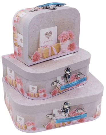 4 Set Maleta de Regalo (1 Set Trae 3 PCS)