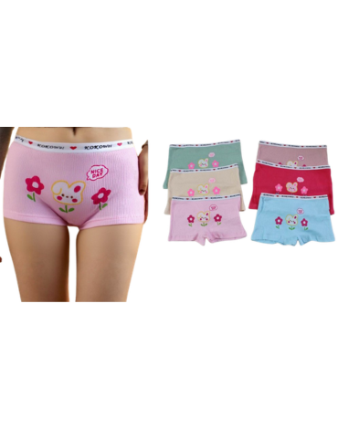 Pantaleta de Niña Colores Surtidos x 24 Unds. Tallas: 2/4 - 5/7 - 8/10 - 10/12