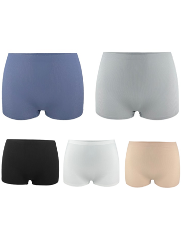 Pantaleta Lisa Invisible Colores Surtidos x 12 Unds. Talla: M - L - XL