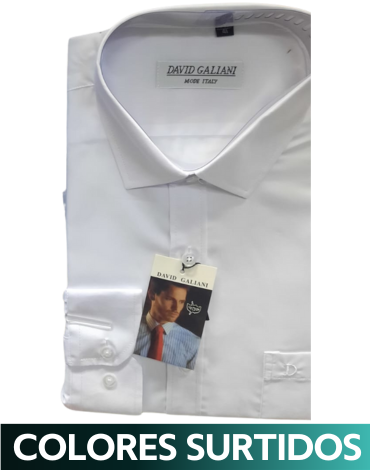Camisa de Hombre x 12  Unds. Tallas: S- M - L - XL