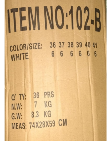 Chalas Zueco de Mujer Color Único x 36 Pares. Talla: 36 al 41