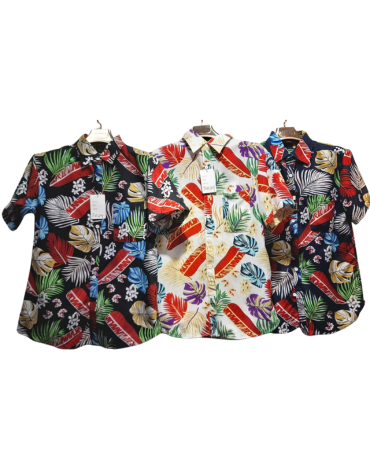 Guayabera de Hombre Colores Surtidos x 15 Unds. Tallas: M - L - XL - XXL - XXXL