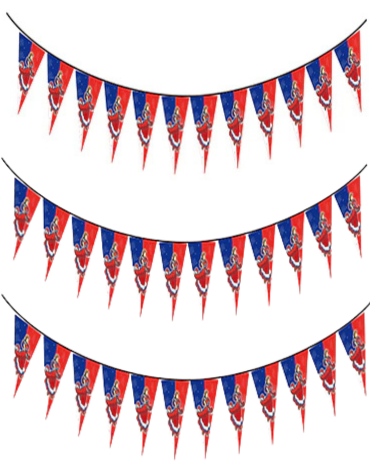 Guirnalda de Papel con Diseño Fiestas Patrias x 12  Unds. Medida: 3 Metros aprox.