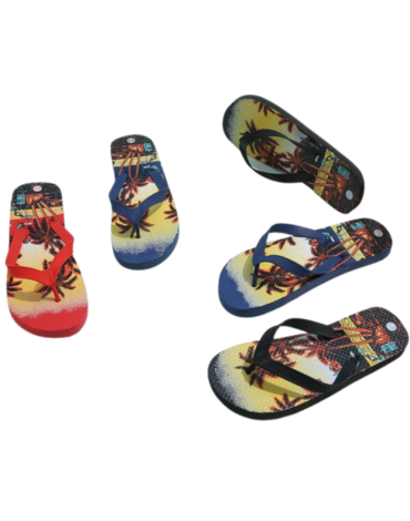 Sandalias de Hombre Colores Surtidos x 96 Pares Talla: 40 al 45