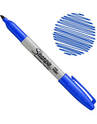 Marcador Punta Fina Sharpie Color Azul x 12 Unds.