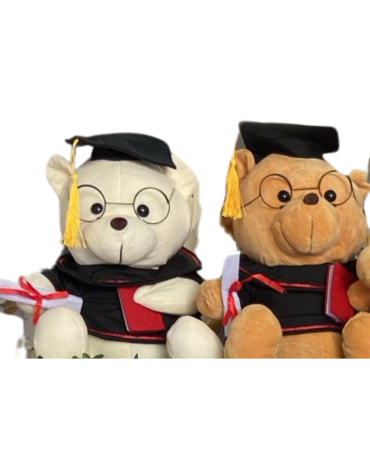 Peluche Osito Graduación x 3 Unds.