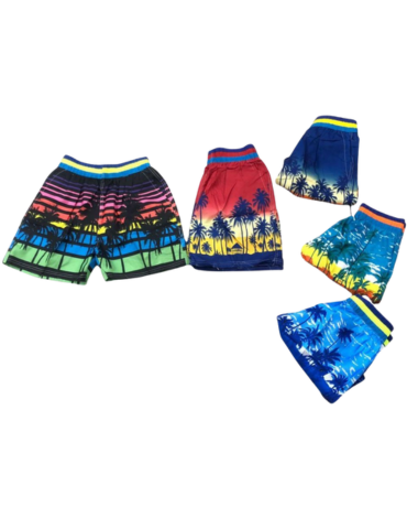 Short de Baño Modelos Surtidos x 15 Unds. Talla: S - M - L