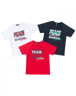 Polera Niño x 15 Unds. Talla: 8 a 16 años