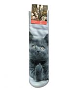Calcetines de Mujer Diseño Gatos x 24 Pares. Talla: 36 al 39