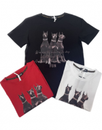 Polera de Hombre Colores Surtidos x 12 Unds. Talla: M - L - XL -XXL