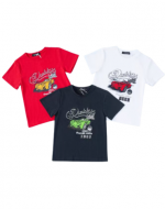 Polera Niño x 15 Unds. Talla: 2 a 6 años